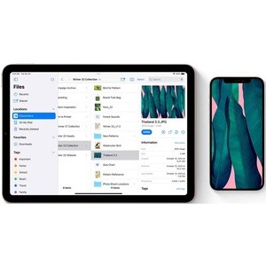 IPAD WI-FI 256GB SILVER