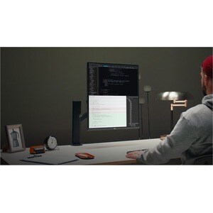 28in SDQHD DualUp Monitor with Ergo Stand