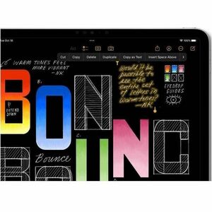 Apple iPad (11th Generation) Tablet - 27.94 cm (11") - 6 GB - 256 GB Storage - Silver - A16 Bionic Penta-core (5 Core) - 2