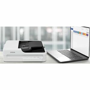 Epson B11B273201 Large Format Flatbed/ADF Scanner - 600 x 1200 dpi Optical - 30-bit Color - 10-bit Grayscale - 30 ppm (Mon