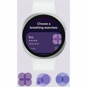 Samsung Galaxy Watch8 SM-L335F Smart Watch - 1168.40 mm Case Height - 1109.98 mm Case Width - Silver Case Color - White Ba