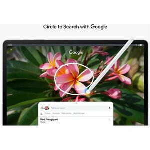 Galaxy Tab S10FE+ 5G (12+256GB) Gray