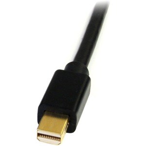 StarTech.com 6ft Mini DisplayPort to DVI Cable, Mini DP to DVI-D Adapter/Converter Cable, 1080p Video, mDP 1.2 to DVI Moni