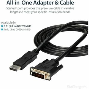 StarTech.com Câble DisplayPort vers DVI de 1,8m, Câble Adaptateur DisplayPort vers DVI-D, 1080p, Convertisseur de Écran DP