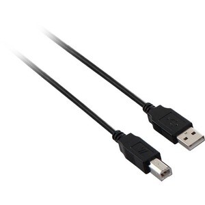 V7 V7E2USB2AB-03M 3.05 m USB-A/USB-B Data Transfer Cable - Cable for Computer, Peripheral Device, Digital Camera, Printer,