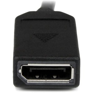 StarTech.com 8" DMS-59 to Dual DisplayPort Adapter Cable, 4K x 2K, DMS 59 pin (M) to 2x DP 1.2 (F) Splitter Y Cable, LFH t