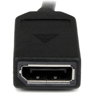 StarTech.com 8" DMS-59 to Dual DisplayPort Adapter Cable, 4K x 2K, DMS 59 pin (M) to 2x DP 1.2 (F) Splitter Y Cable, LFH t