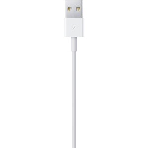 Apple Lightning to USB Cable (0.5 m) - 1.64 ft Lightning/USB Data Transfer Cable for iPhone, iPad, iPod - First End: 1 x L