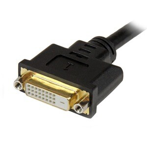 StarTech.com 8in Wyse DVI Splitter Cable - DVI-I to DVI-D and VGA - M/F - 20.32 cm DVI/VGA Video Cable for Video Device, M