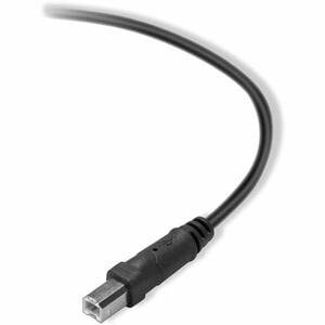 Belkin 2.0 USB-A to USB-B Cable - 2.95 ft USB Data Transfer Cable for Printer, Computer - First End: 1 x USB 2.0 Type A - 
