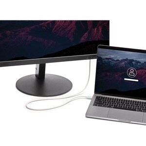 StarTech.com TBLT3MM1MW. Anschluss 1: Männlich, Anschluss 2: Männlich, Kabellänge: 1 m. Products per master (outer) case: 
