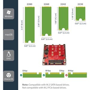 StarTech.com Dual-Slot M.2 to SATA Adapter - M.2 SATA Adapter for 2.5" Drive Bay - M.2 Adapter - M.2 SSD Adapter - M.2 NGF