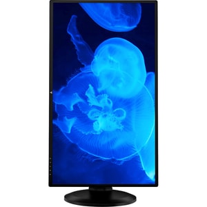 V7 L27HAS2K-2N 27" WQHD LED LCD Monitor - 16:9 - Black - 27" Class - 2560 x 1440 - 1.07 Billion Colors - 300 Nit - 6 ms - 