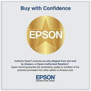 Epson Pre-Treatment Liquid T43R100