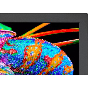 NEC Display PA311D-BK-SV 31" Class 4K LCD Monitor - 17:9 - 31.1" Viewable - In-plane Switching (IPS) Technology - WLED Bac
