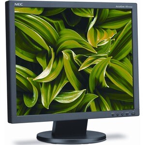 NEC Display AccuSync AS194MI-BK 19" Class SXGA LCD Monitor - 5:4 - 19" Viewable - In-plane Switching (IPS) Technology - WL