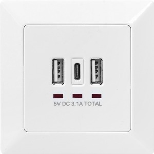 ASSMANN Electronic DA-70618, Weiß, 250 V, 50 Hz, 5 V, 3,1 A, 90 mm