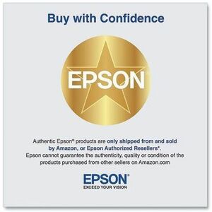 Epson Projector Lamp - UHE