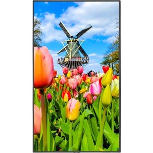 NEC Display MultiSync M651 165.1 cm (65") LCD Digital Signage Display - Energy Star - Intel - 3840 x 2160 - Direct LED - 5