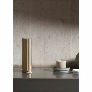 Bang & Olufsen Beosound Emerge Bluetooth Speaker System - Light Oak - Bookshelf, Shelf - 45 Hz to 22 kHz - Wireless LAN