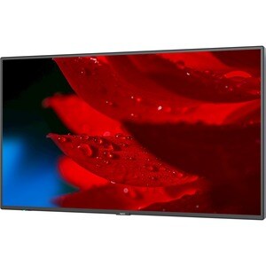 NEC Display 43" Wide Color Gamut Ultra High Definition Professional Display - 43" LCD - High Dynamic Range (HDR) - 3840 x 