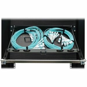 Eaton Tripp Lite Series Preloaded Fiber Panel, 1U - 2x (12x LC/LC Duplex M/M) 24F Trunk Cables, OM4 Multimode, 10 m (32.8 