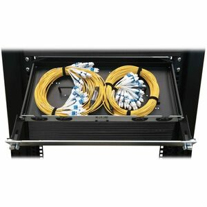 Eaton Tripp Lite Series Preloaded Fiber Panel, 1U - 2x (12x LC/LC Duplex M/M) 24F Trunk Cables, OS2 Singlemode, 10 m (32.8