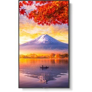Sharp NEC Display MA551-MPI4E Digital Signage Display/Appliance - 55" LCD - High Dynamic Range (HDR) - 3840 x 2160 - Edge 