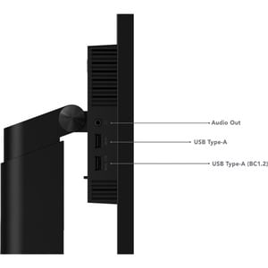 Lenovo ThinkVision T24m-20 24" Class Full HD LCD Monitor - 16:9 - Raven Black - 23.8" Viewable - In-plane Switching (IPS) 