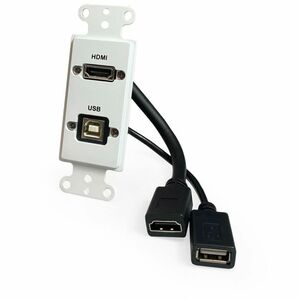 Comprehensive Faceplate - 2 x Total Number of Socket(s) - 1-gang - Wall Mount - White - Acrylonitrile Butadiene Styrene (A