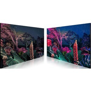 Samsung QMB Quantum Processor 4K Signage - 55" LCD - 3840 x 2160 - 500 Nit - 2160p - HDMI - USB - Serial - Wireless LAN - 