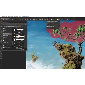 Corel Painter 2023 - Box Pack - 1 User - Academic - Image Editing - DVD-ROM - English, French - Intel-based Mac, PC - Wind