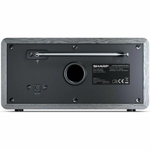 Sharp Desktop Uhrenradio - Mono - DAB, DAB+, FM - Lautsprecher