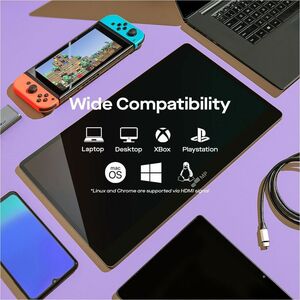 Mobile Pixels Glance Plus 16" Class Full HD OLED Monitor - 16:9 - 15.6" Viewable - 1920 x 1080 - 400 Nit - Speakers - USB 