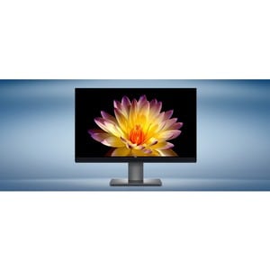 Dell UltraSharp UP2720Q 27" Class 4K UHD Monitor LCD - 16:9 - Preto - 68,6 cm (27") Viewable - Tecnologia IPS (In-plane sw