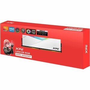 XPG RAM Module - 16 GB - DDR5-7200/PC5-57600 DDR5 SDRAM - 7200 MHz - 1.40 V
