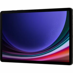 TABLET GALAXY TAB S9 256GB WIFI GRAFITE