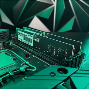 Patriot Memory Signature Line 8GB DDR5 SDRAM Memory Module - 8 GB (1 x 8GB) - DDR5-5200/PC5-41600 DDR5 SDRAM - 5200 MHz - 