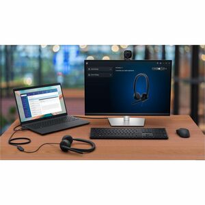 Dell Wired Headset - WH3024 - Microsoft Teams Certification - Stereo - USB Type C - Wired - 20 Hz to 20 kHz - On-ear, Over