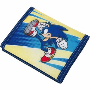 ESTUCHE PROTECTOR SWITCH SONIC KICK