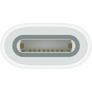 Apple USB-C to Apple Pencil Adapter - 1 x 24 pin Usb type c - female - 1 x Lightning - female