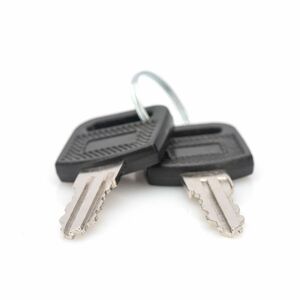 Digitus Key for wall-mounted enclosures Dynamic series, SOHO 10" & 19" series, charging cabinets. Type: Locking key, Produ