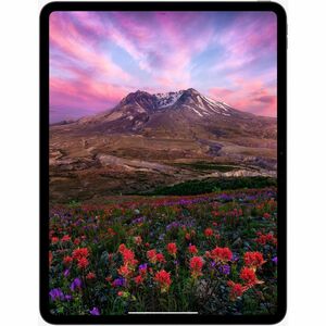 Apple iPad Pro (7th Generation) A2925 Tablet - 13" - Apple M4 - 8 GB - 512 GB Storage - Silver - M4 Nona-core (9 Core) 4.4