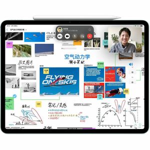 Apple Pencil Pro 蓝牙 手写笔 - 平板电脑 设备支持