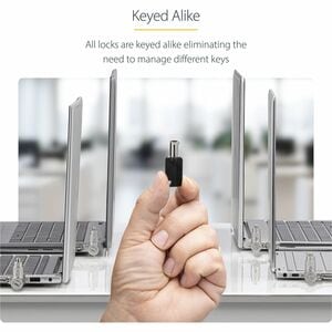 StarTech.com 25-Pack Universal Laptop Lock 6.6ft, Keyed Alike Locking Cable, Security Cable, Compatible w/Noble Wedge®/Nan