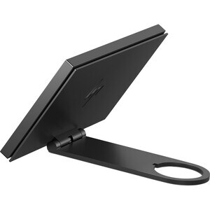 HP 14t Pole Display - Black - 35.6 cm (14") LCD Display - USB