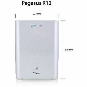 FG.PEGASUS R12.COLOR BOX.MEMORY:8GB1.HDD:SATA3.5INCH8
