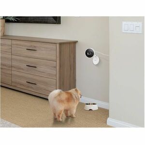 Cámara de red Tapo Tapo C125 4Megapíxel Interior 2K - Color - 9.14m Infrarrojos Visión Nocturna - H.264 - 2560 x 1440 - 2.