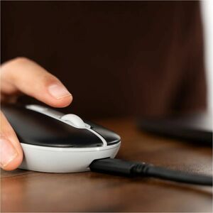 Perfect Choice Colori Mouse - Frecuencia Bluetooth/Radio - USB Tipo A - Óptico - Negro - 1 - Inalámbrico - 10m - 2.40GHz -