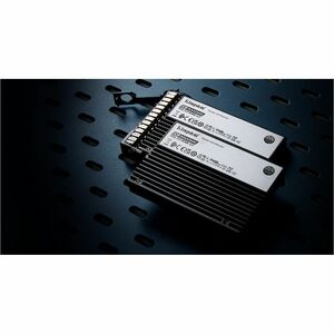 Kingston DC3000ME 3.84 TB Solid State Drive - 2.5"" Internal - U.2 (PCI Express NVMe 5.0 x4) - Server, Data Center Device 